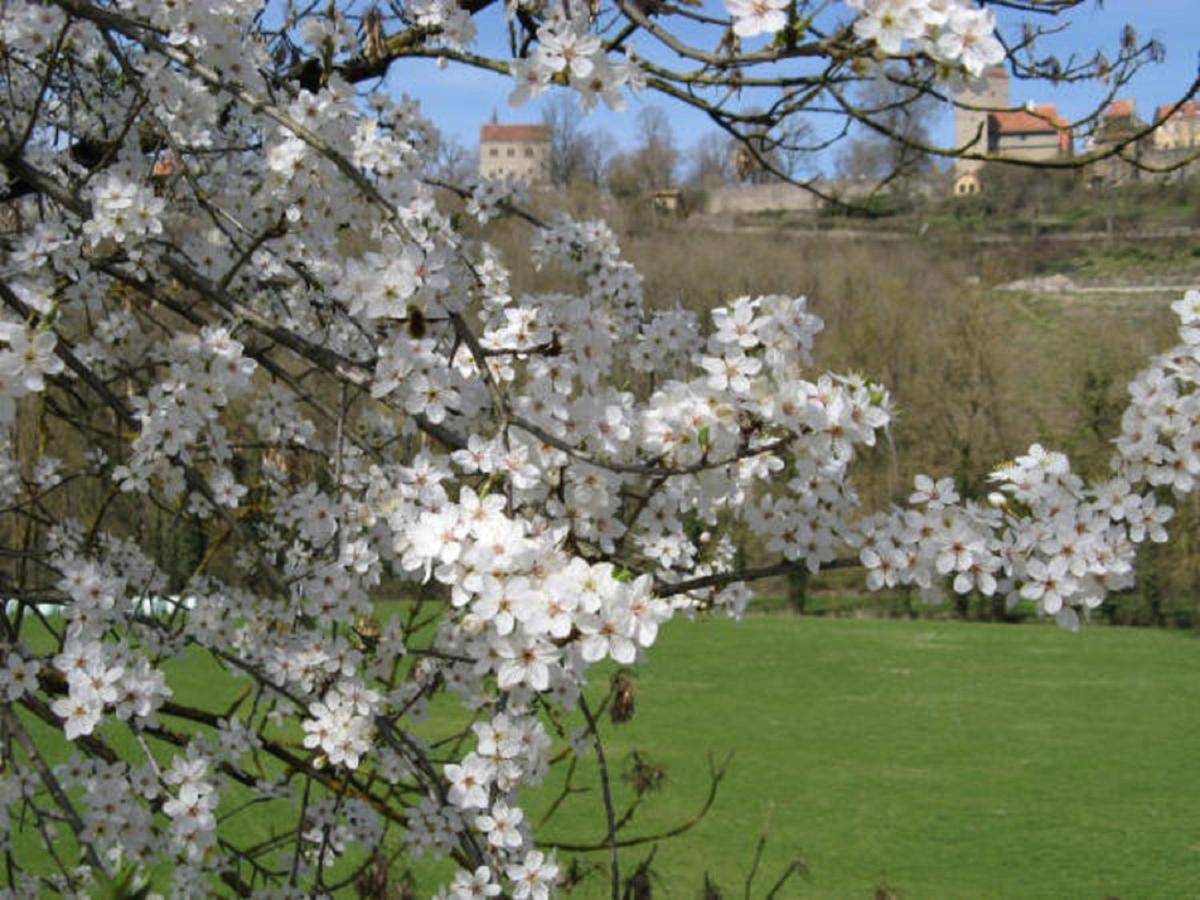 Herrnmuehle - Pension & Ferienwohnungen Rothenburg ob der Tauber Dış mekan fotoğraf